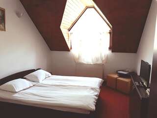 Мотели Motel din Darste Сэчеле Двухместный номер с 1 кроватью-3