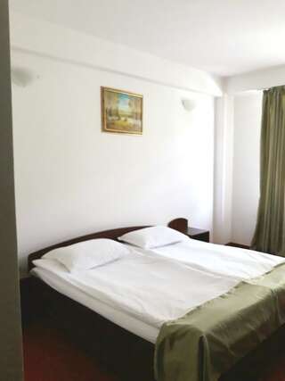 Мотели Motel din Darste Сэчеле Двухместный номер с 1 кроватью-4