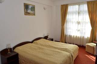Мотели Motel din Darste Сэчеле Двухместный номер с 1 кроватью-9