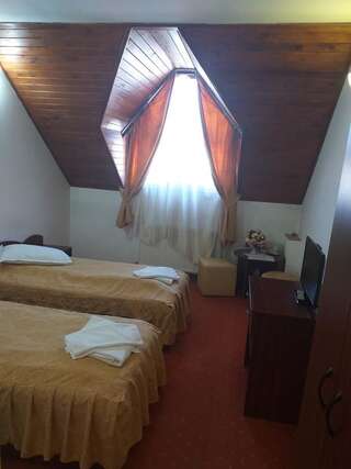 Мотели Motel din Darste Сэчеле Одноместный номер-3
